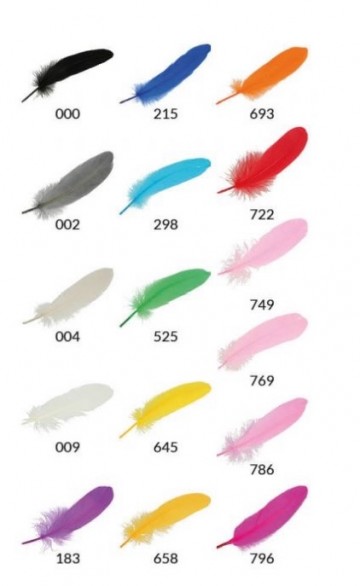 C5e2f634 3495 4d83 9416 68c651353012